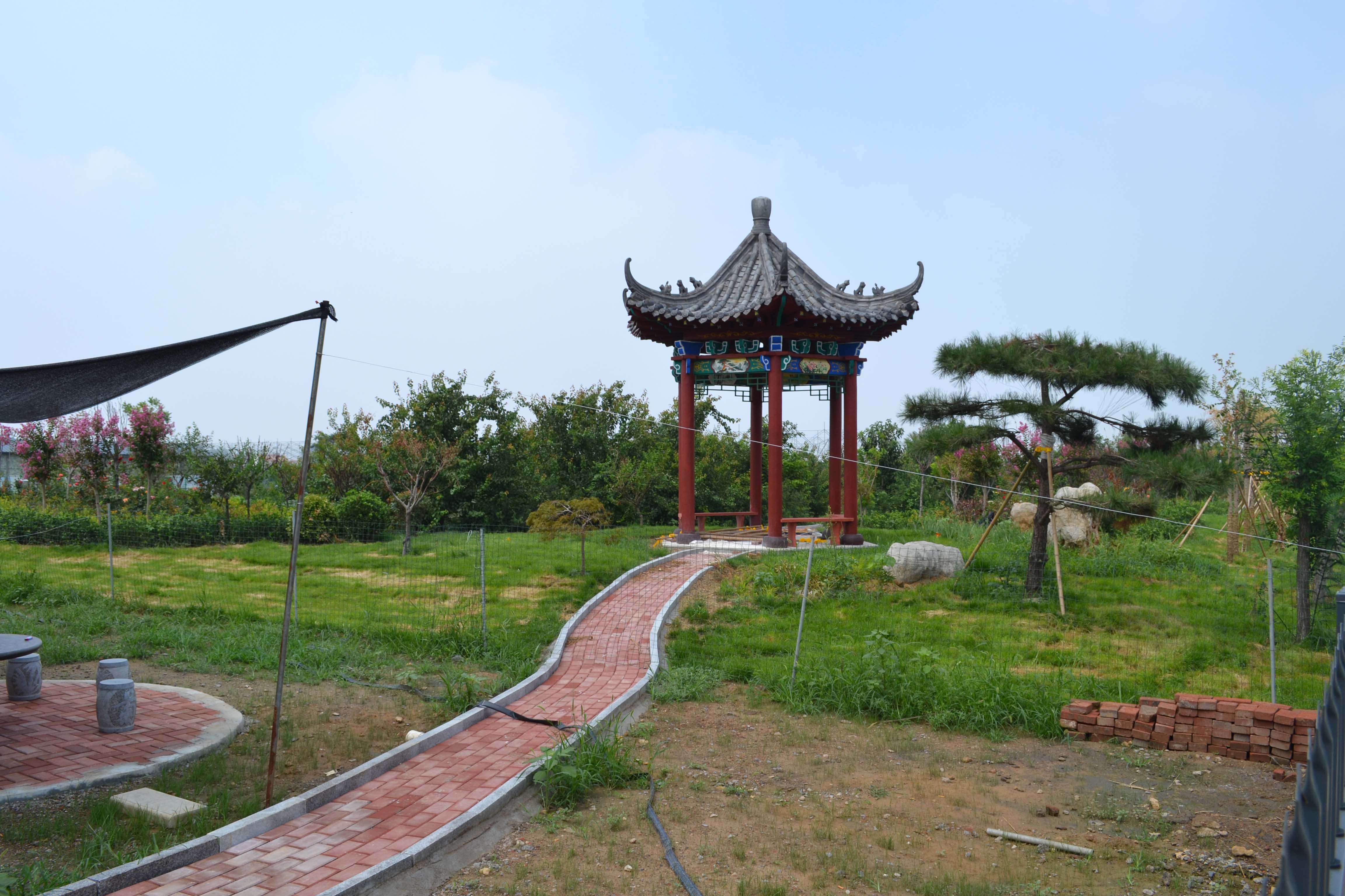 1564130938142982.jpg 1564130938142982.jpg