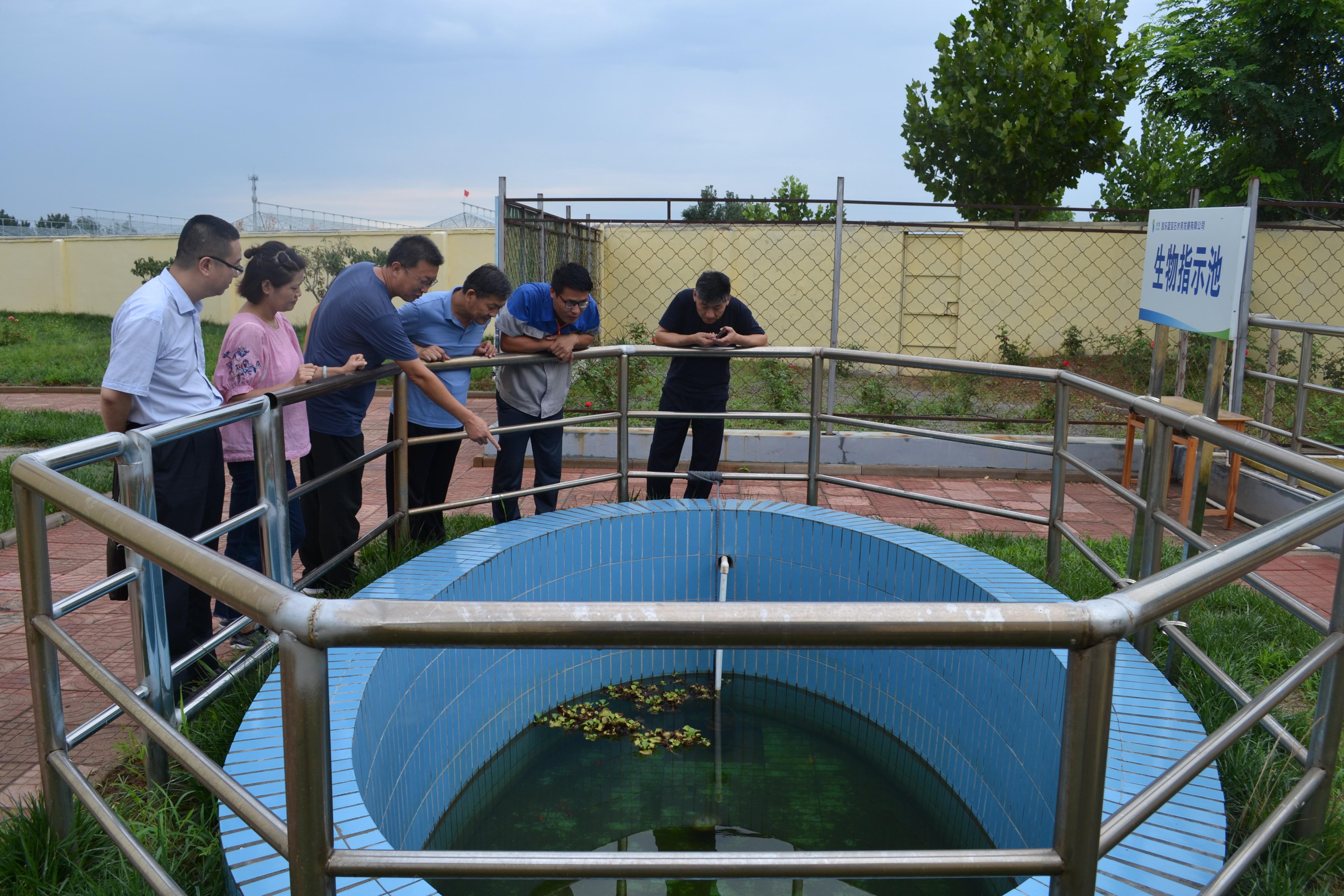 1565685147857422.jpg 1565685147857422.jpg