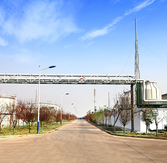 1592199796857500.jpg 1592199796857500.jpg